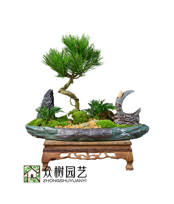 黑松