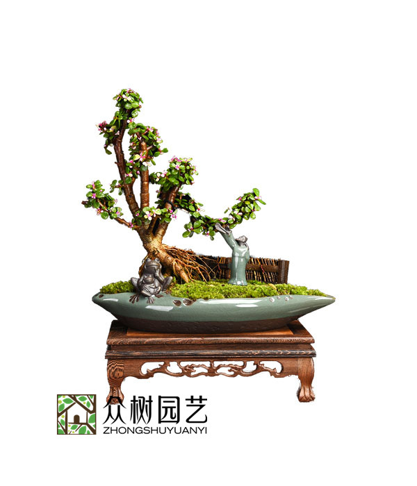 金枝玉叶