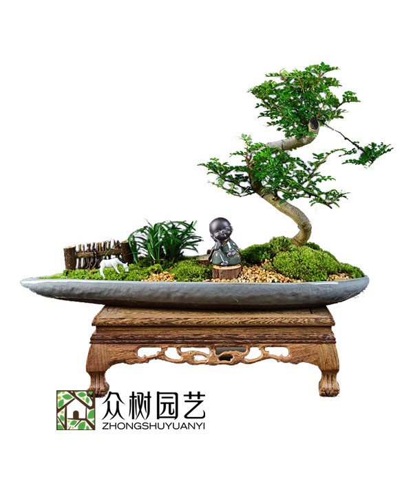 清香木