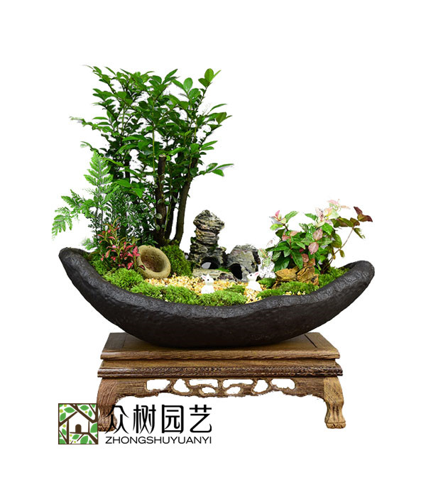 小叶紫檀