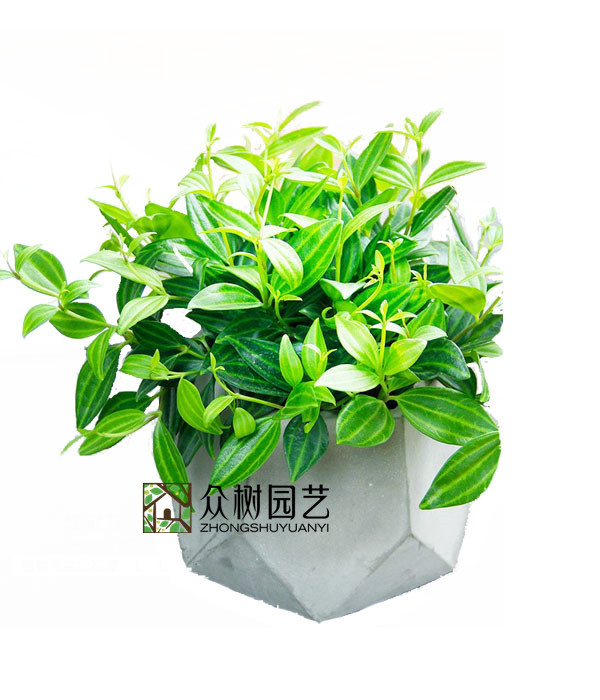 绿宝石砖石翡翠